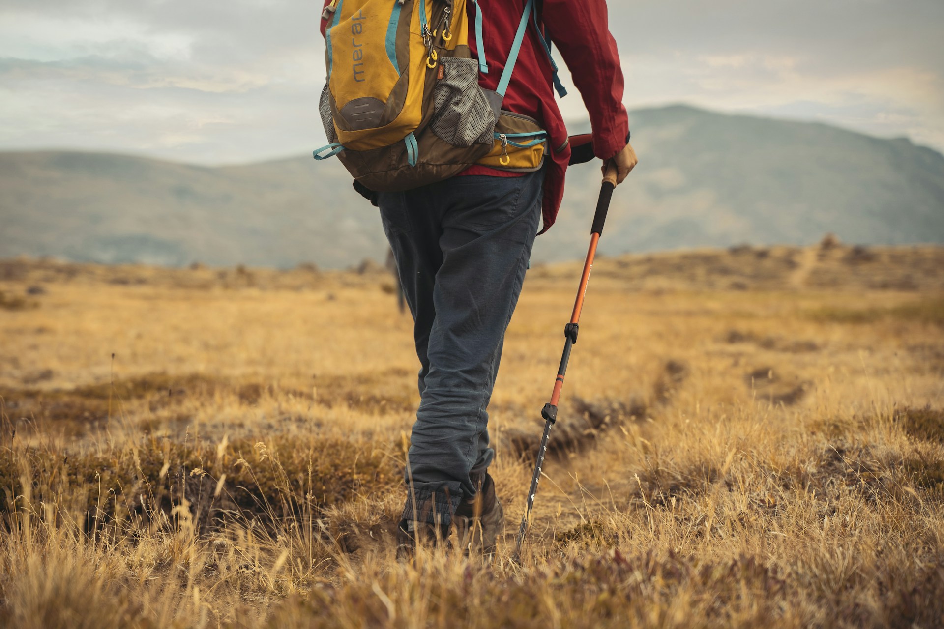 nordic-walking01