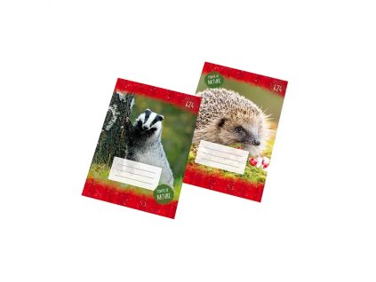 Zošit slovníček 624, A6, linajkový