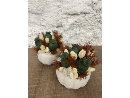 Betonová dýně s barevným aranžmá