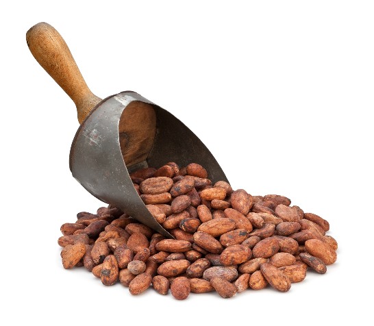 bigstock-Cocoa-Bean-Scoop-4686325.jpg