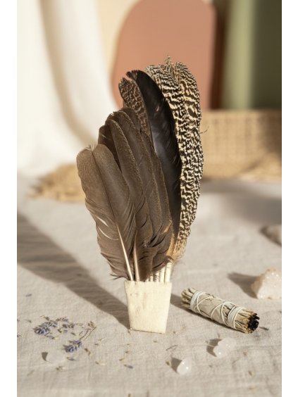 fotky na shoptet 426