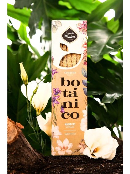 Tyčinky Sagrada Madre Botanical Magnolia