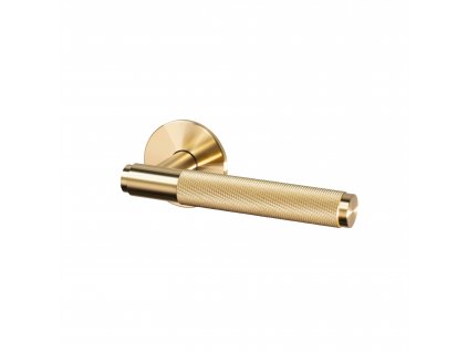 1. Door Handle Right Fixed Brass Cut out