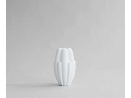 Snímek obrazovky 26 2 2026 11515 101cph.com