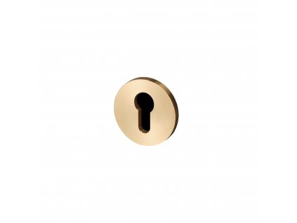 Escutcheon plate euro cylinder brass cut out
