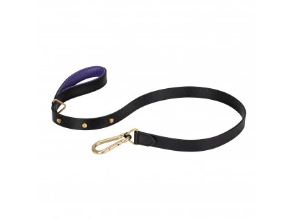 Dog Lead Large Brass cut out