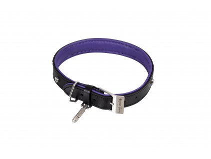 Dog Collar Medium Steel cut out