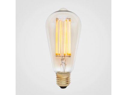 squirrel cage