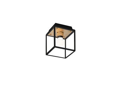 BP Caged Wet Ceiling Brass Cut out