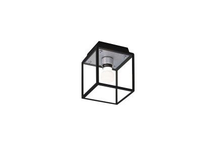 BP Caged Wet Ceiling Steel Cut out