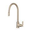 BP Tap Cross Pullout Brass Cut Out
