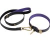 DOG COLLAR BLACK / PURPLE / BRASS (Velikostt X-Large L560-760mm W27mm)