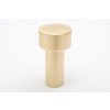 dot 55 hook brushed brass