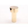 dot 55 hook polished brass