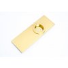 sliding door handle backplate polished brass