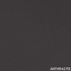 303. ANTHRACITE