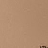 111. CAMEL