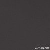 303. ANTHRACITE