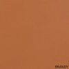 117. BRANDY