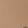 111. CAMEL