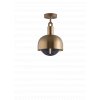 Forked lighting Ceiling Brass Medium Shade1 Smoked Globe v1