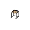 BP Caged Wet Ceiling Brass Cut out