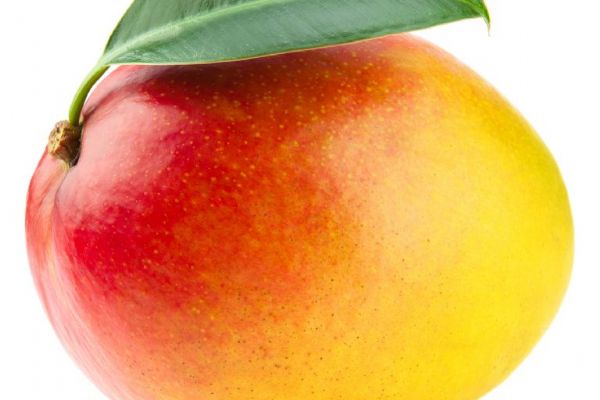 23. týden těhotenství