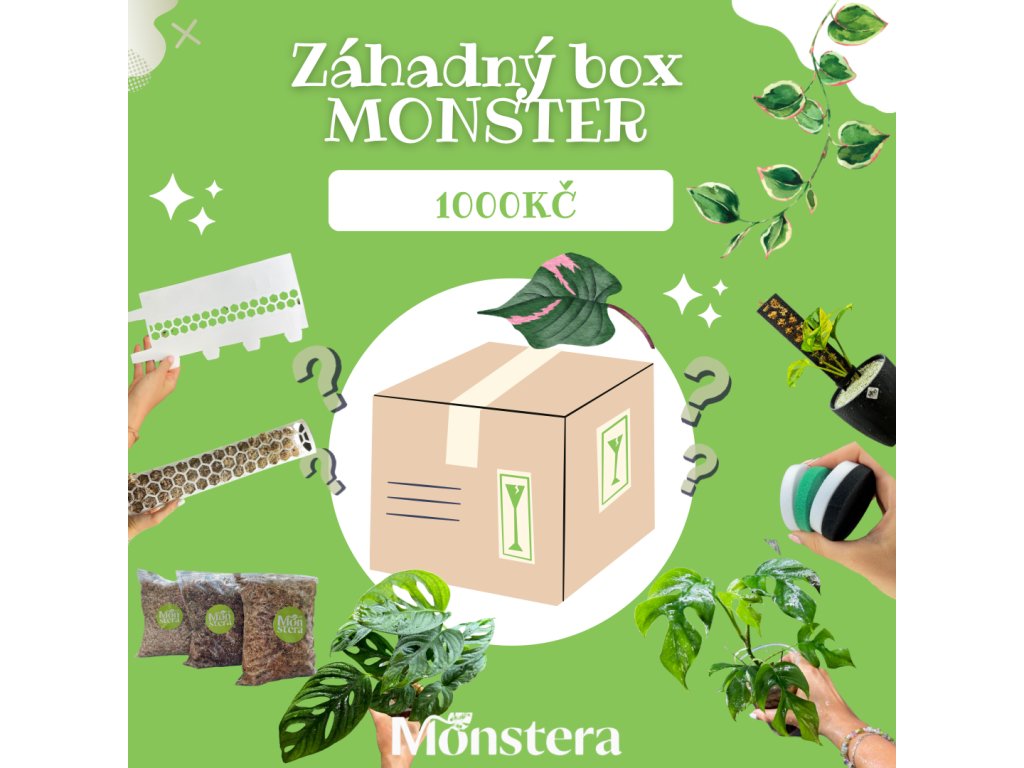 Peach Mystery Box Instagram Post 1