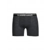 Icebreaker ANATOMICA BOXERS