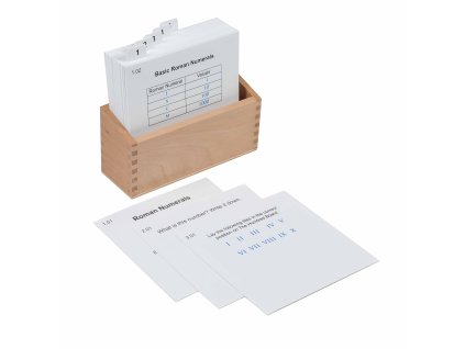 Hundred Board With Roman Numerals Activity Set