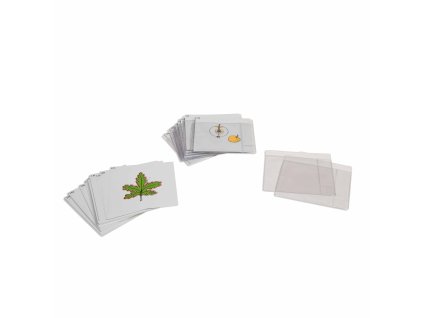Third Set Of Botany Cards