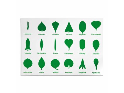 Botany Cabinet Control Chart