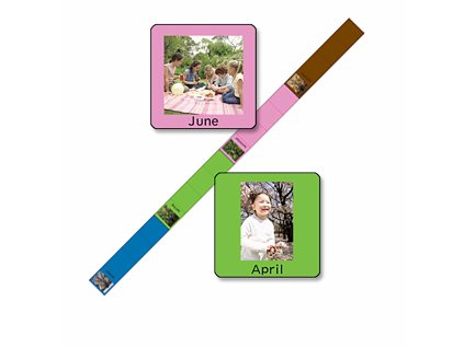 Seasons Timeline And Cards