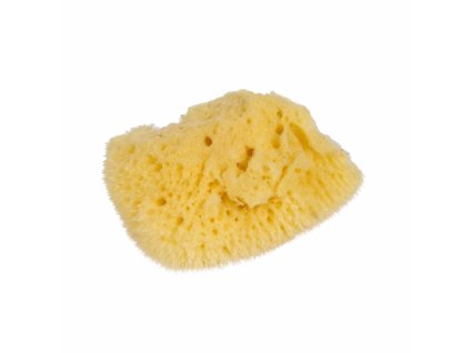 Small Natural Sponge