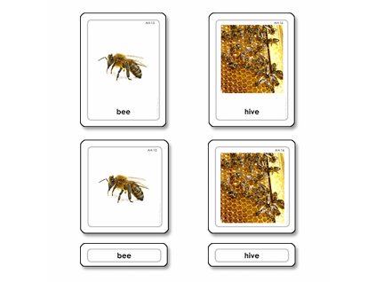 Animal Homes 3 Part Cards