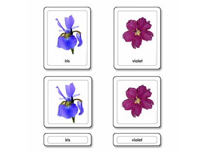 Flowers 3 Part Cards