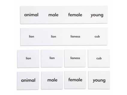 Animal Names