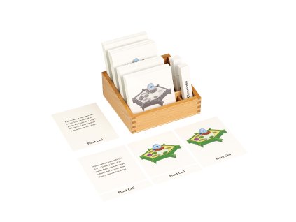 Plant Cell Nomenclature Cards