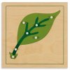 Botany Puzzle: Leaf