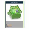 Plant Cell