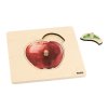 Toddler Puzzle: Apple