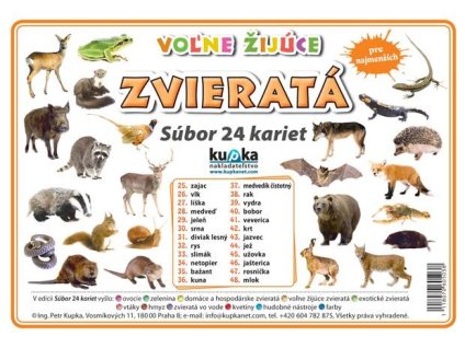 Karty dive zvierata