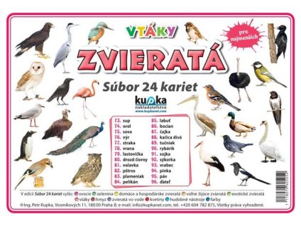 Karty vtaky
