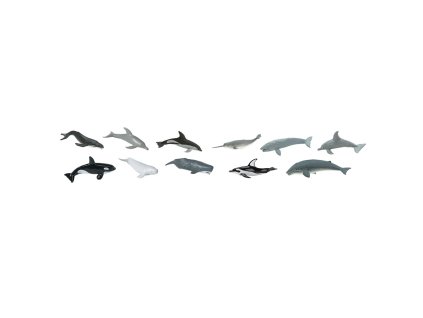 velryba, delfin