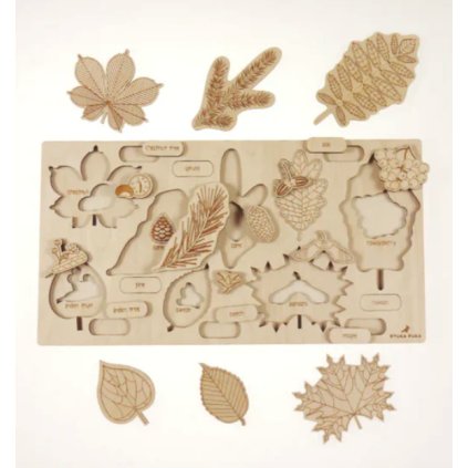 Snímek obrazovky 2025 02 17 v 15.03.23