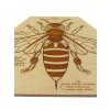 Včela edukativní puzzle - ČESKÁ VERZE