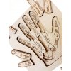 Ruka - anatomie - edukativní dřevěné puzzle - ČESKÁ VERZE