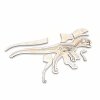 anatomie dino cz 02 sharp