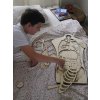 Tělo - anatomie - edukativní dřevěné puzzle - ČESKÁ VERZE