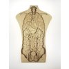 Tělo - anatomie - edukativní dřevěné puzzle - ČESKÁ VERZE